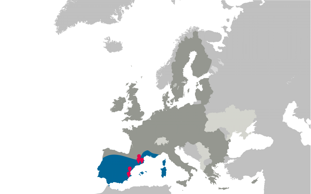South-Western Europe – AELCLIC